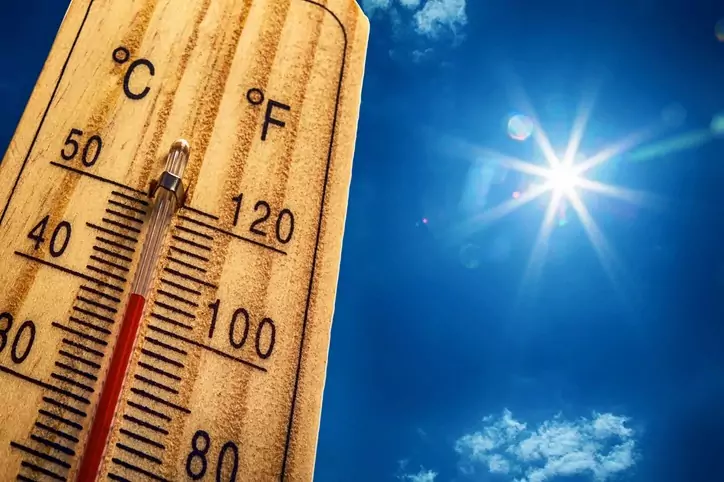 Beat the Heat: 6 Tips for a Safe and Happy Summer 
